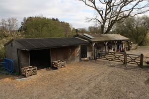 Photo 11- click for photo gallery